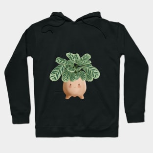 Cute Plant Illustration,  Calathea Burle-Marxii Amabilis 6 Hoodie